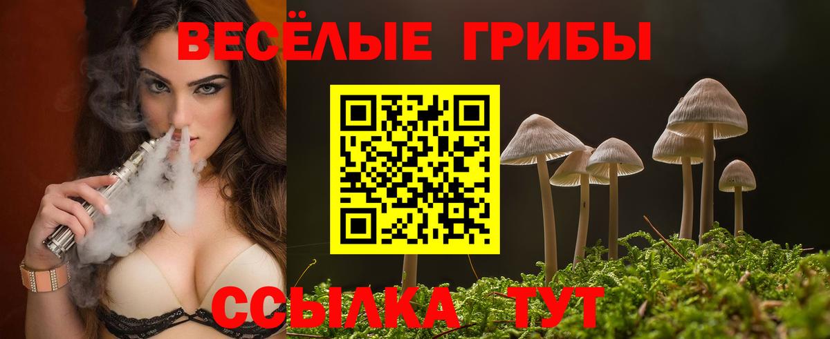 Псилоцибиновые грибы Psilocybe  Вход с VPN  Борисоглебск 